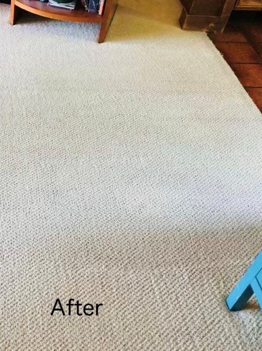 Carpet after cleaning
