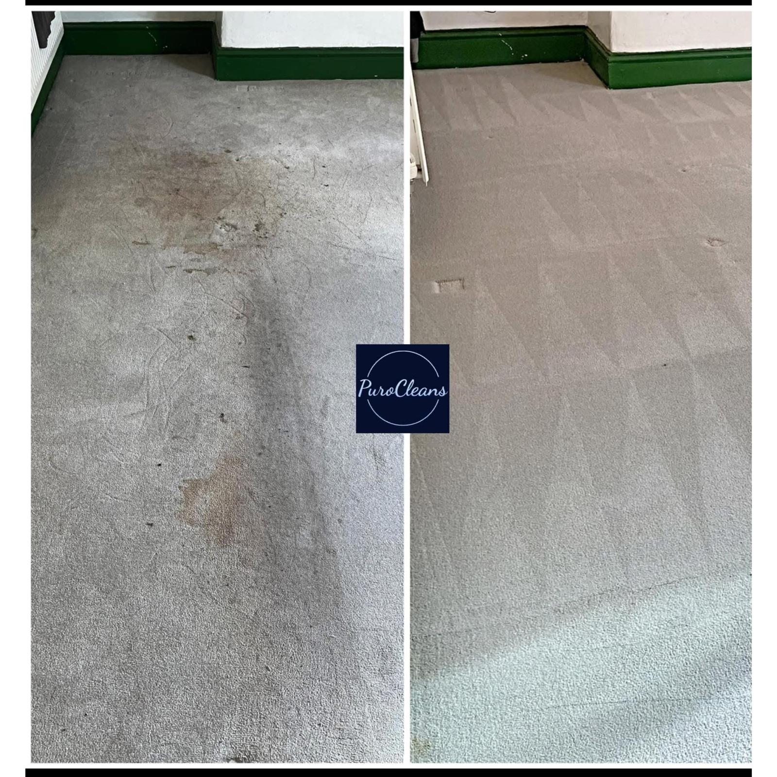Carpet before and after